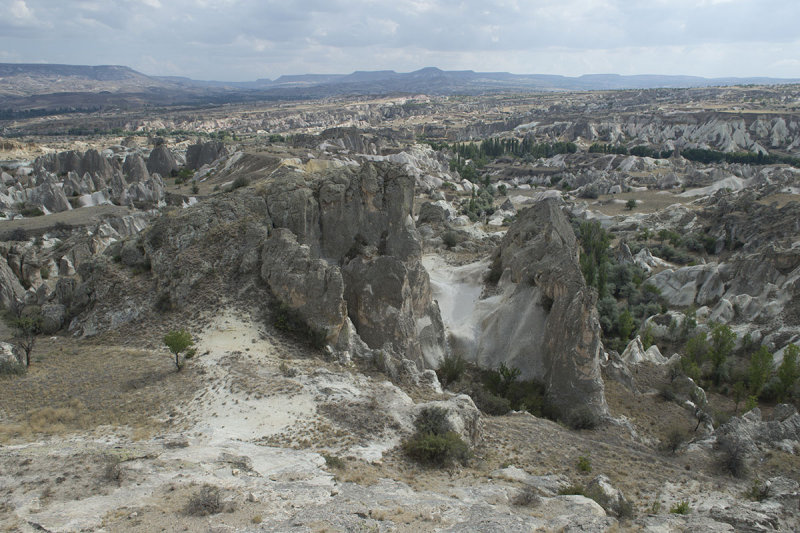 Cappadocia fox country Urgup september 2014 1767.jpg