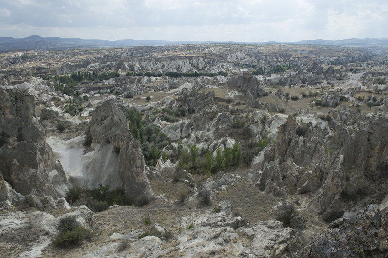 Cappadocia fox country Urgup september 2014 1769.jpg