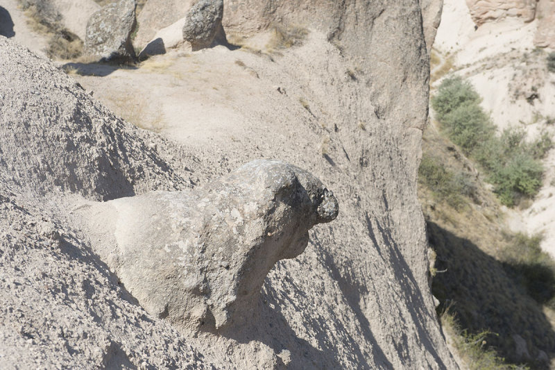 Cappadocia Devrent Valley september 2014 1813.jpg