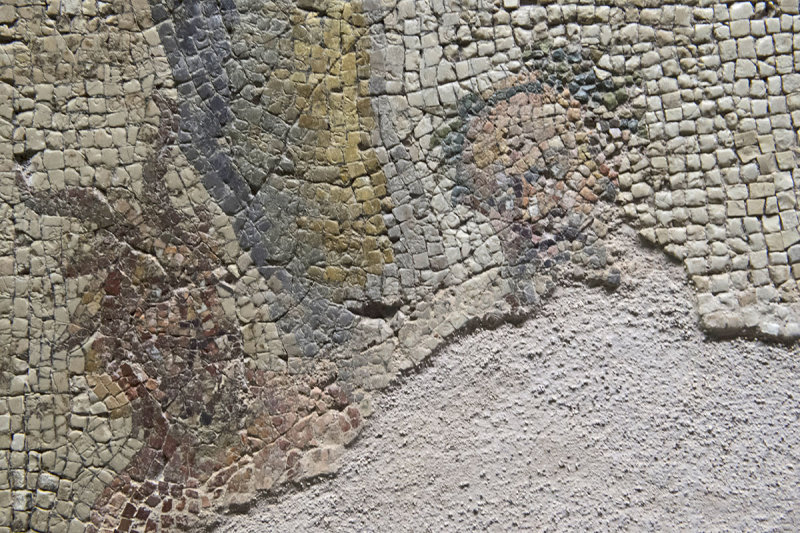 Gaziantep Zeugma Museum september 2014 2469.jpg