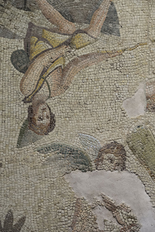 Gaziantep Zeugma Museum september 2014 2495.jpg