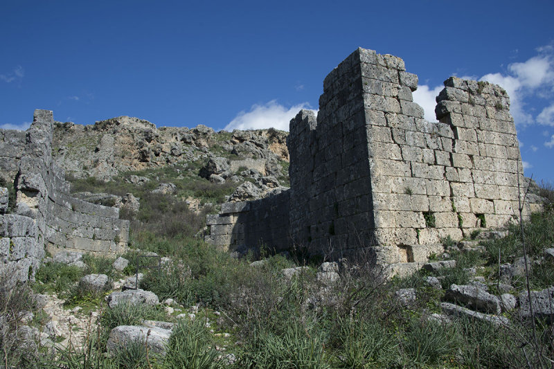 Sillyon feb 2015 5468.jpg