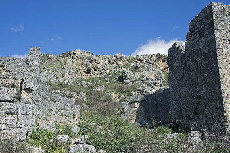 Sillyon feb 2015 5469.jpg