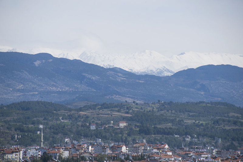 Manavgat feb 2015 5980.jpg