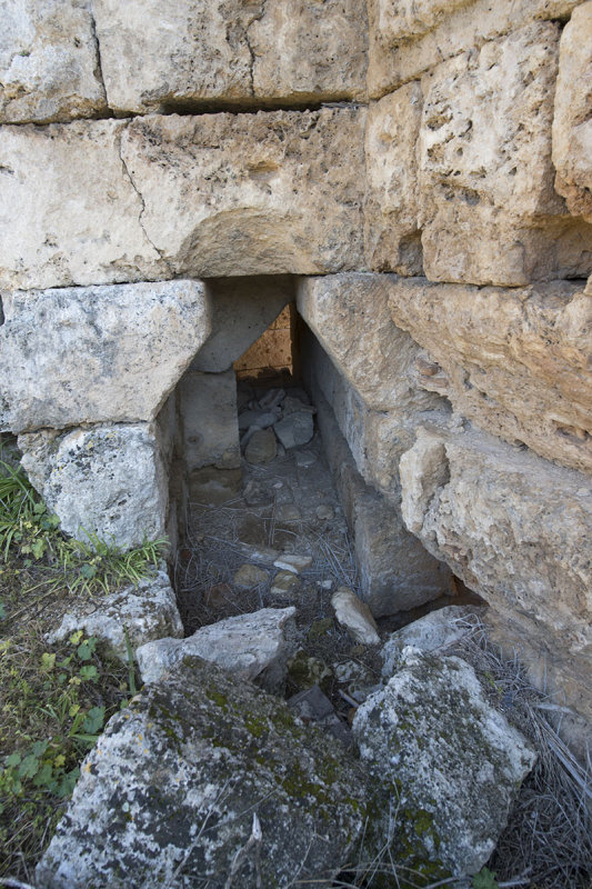 Perge feb 2015 5173.jpg