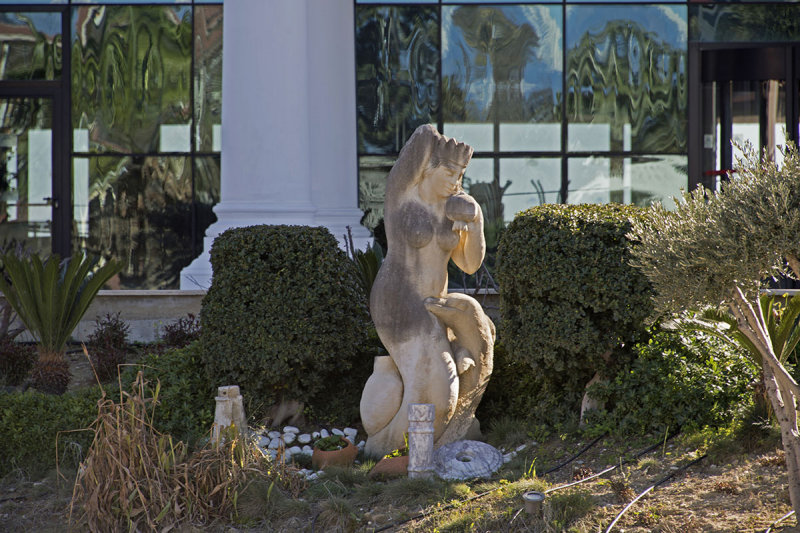Side feb 2015 6395.jpg