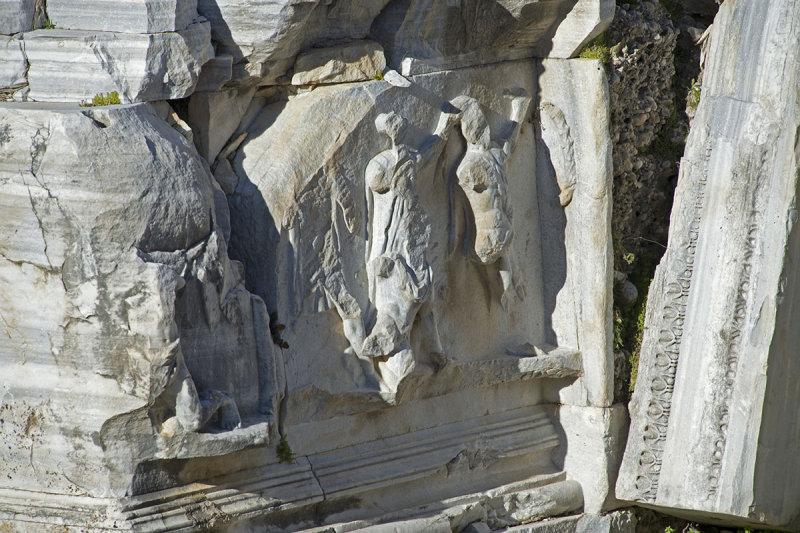 Side feb 2015 6414.jpg
