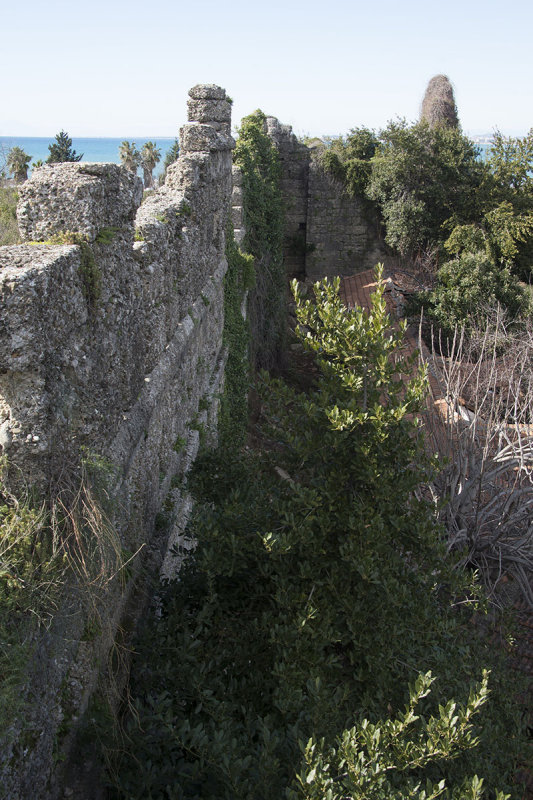 Side feb 2015 6231.jpg