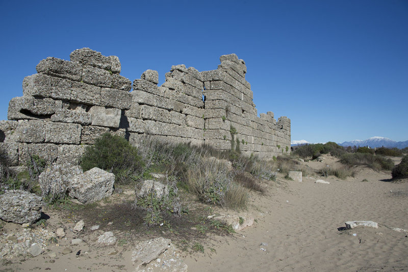 Side feb 2015 6282.jpg