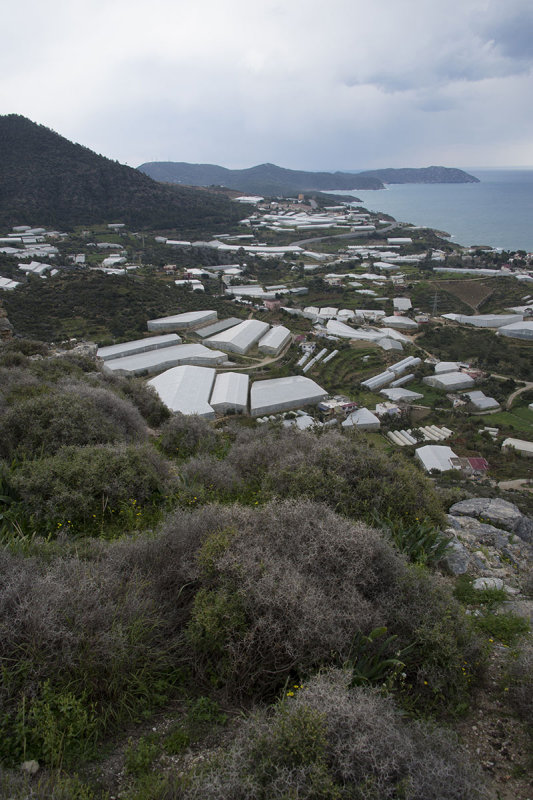 Softa Kalesi March 2015 7408.jpg