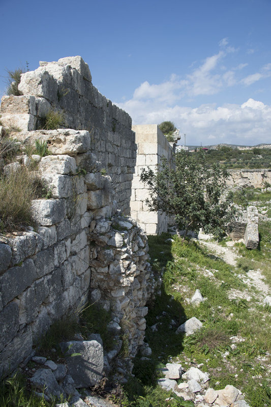 Korykos March 2015 6967.jpg