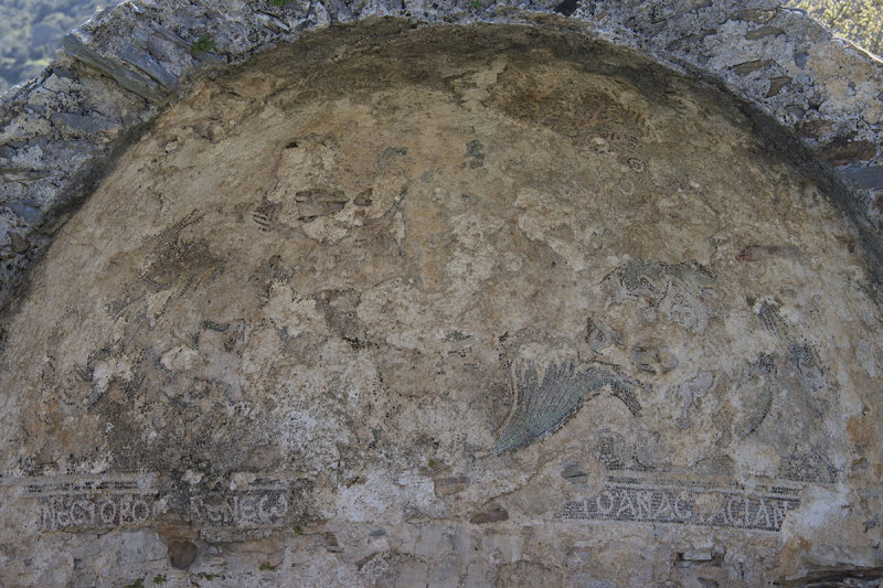 Anemurion March 2015 7339.jpg