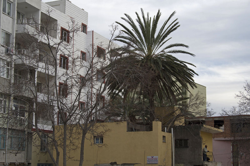 Silifke March 2015 7200.jpg