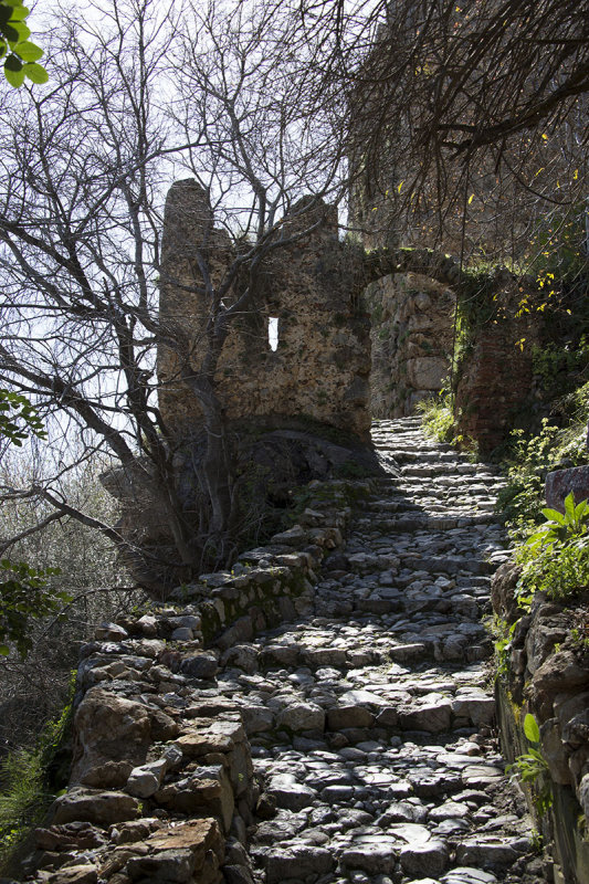 Alanya feb 2015  5673.jpg