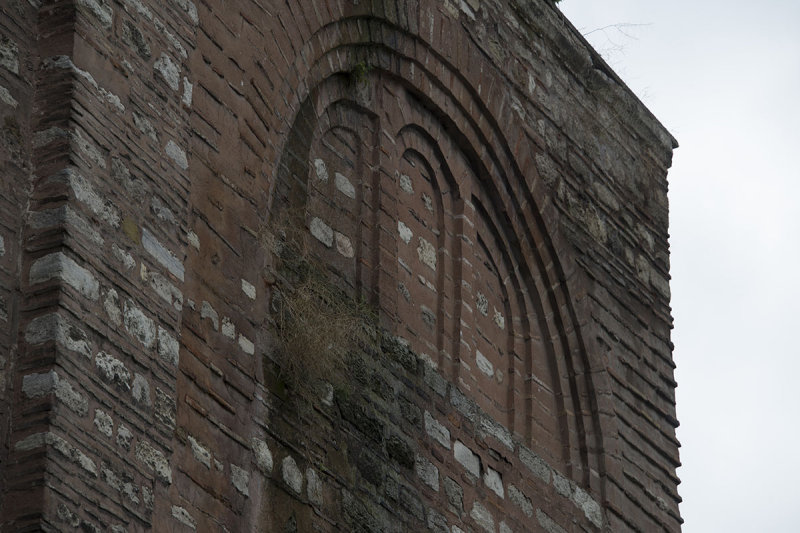 Istanbul Rose Mosque 2015 9721.jpg