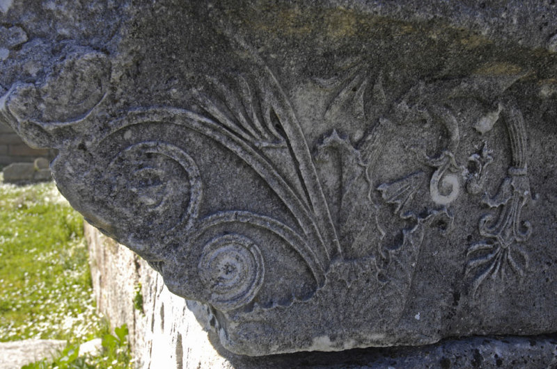 Labranda Andron B 5611.jpg