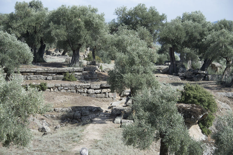 Alinda October 2015 3967.jpg