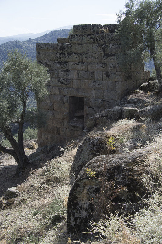 Alinda October 2015 3977.jpg