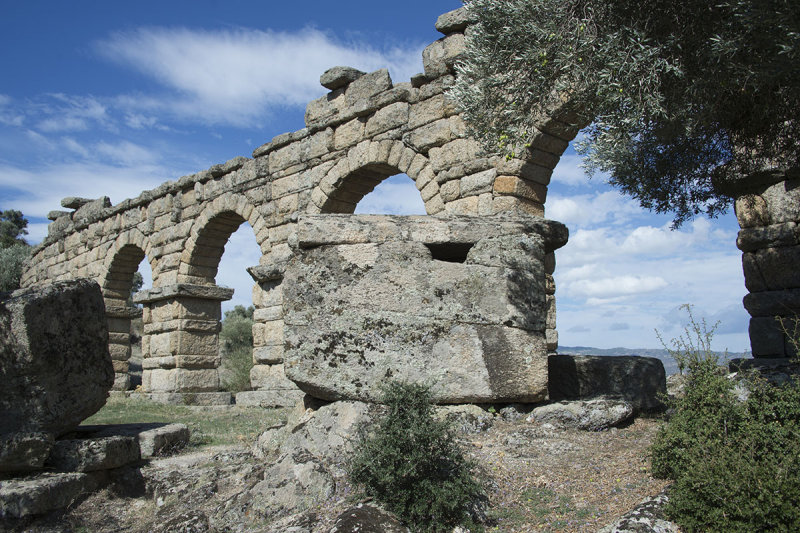 Alinda October 2015 3940.jpg