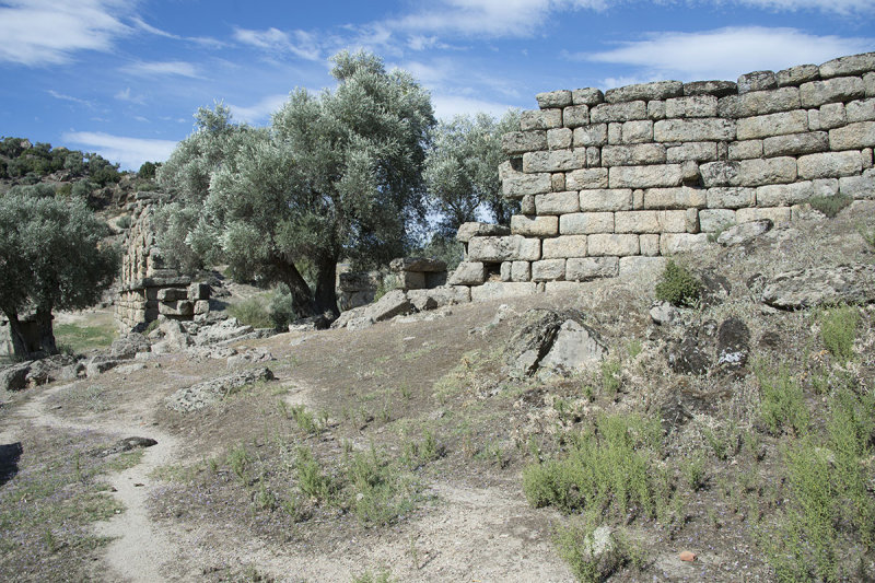 Alinda October 2015 3944.jpg