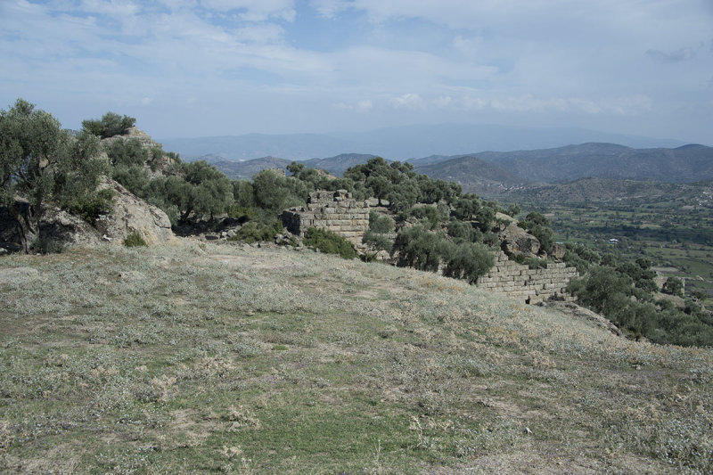 Alinda October 2015 3960.jpg