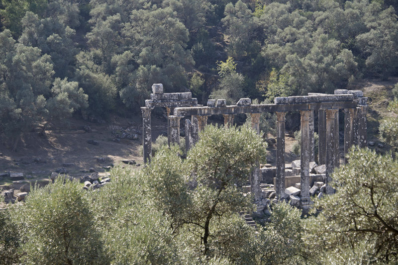 Euromos October 2015 3443.jpg