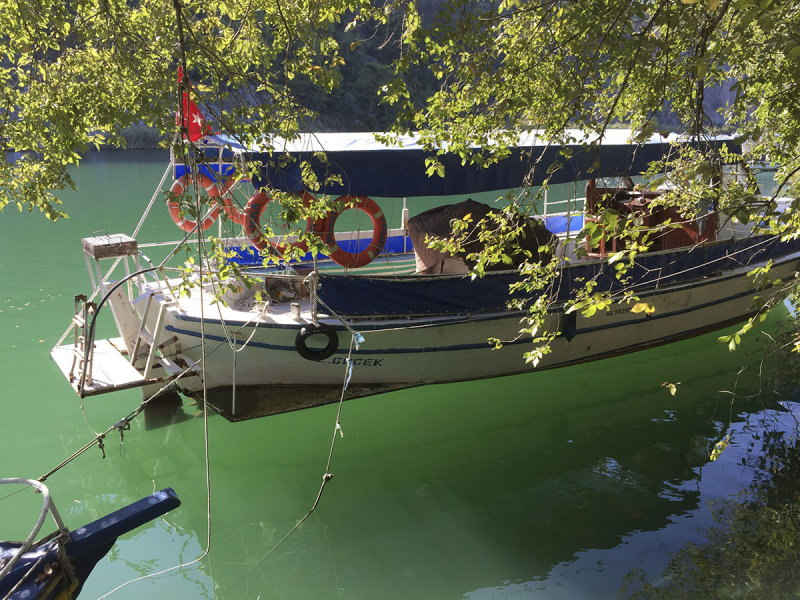 Dalyan October 2015 2051.jpg