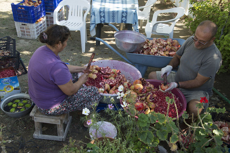 Dalyan October 2015 4442.jpg