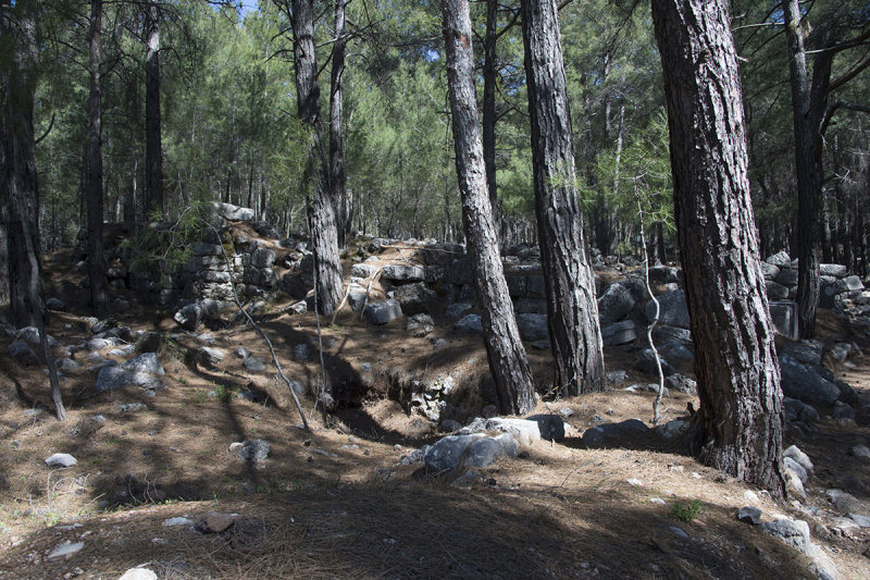 Cadianda Stoa maybe 2016 7512.jpg