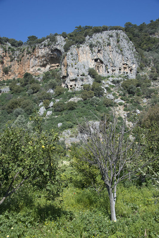 Dalyan Rock graves 2016 6673.jpg