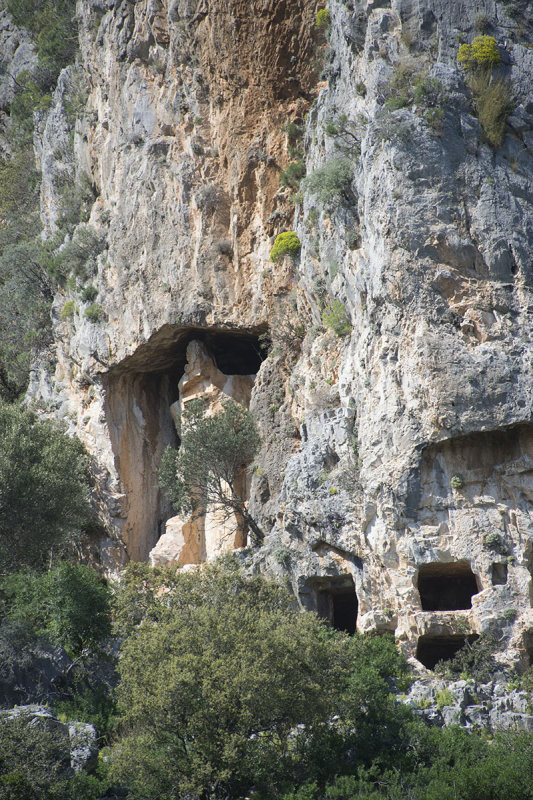 Dalyan Rock graves 2016 6789.jpg