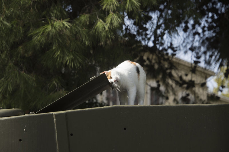 Istanbul Military Museum October 2016 9214.jpg