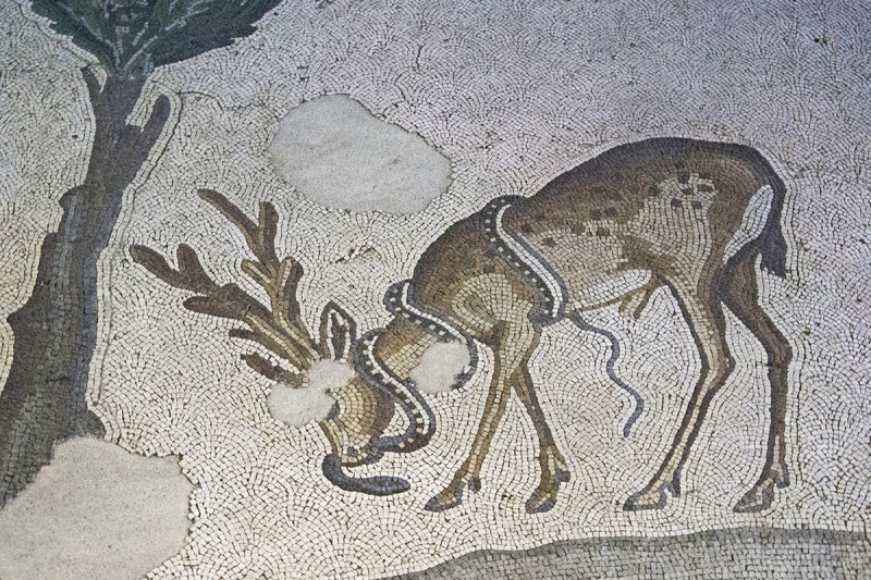 Istanbul Mosaic Museum dec 2016 1600.jpg