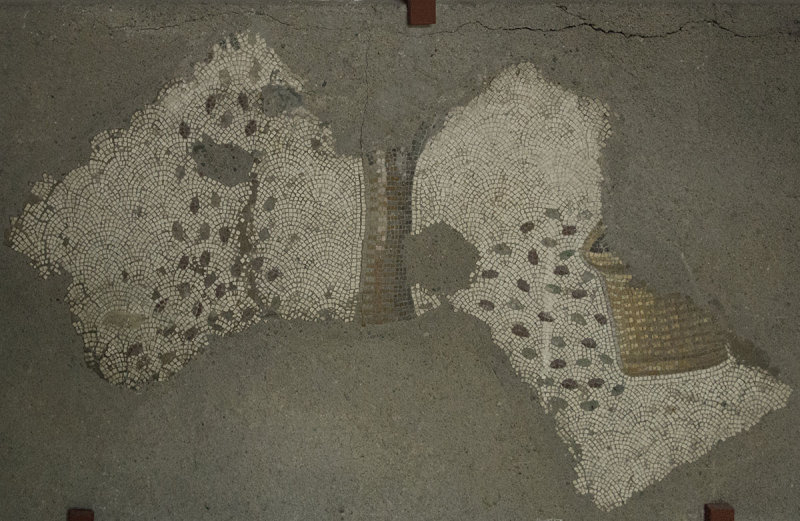 Istanbul Mosaic Museum dec 2016 1657.jpg