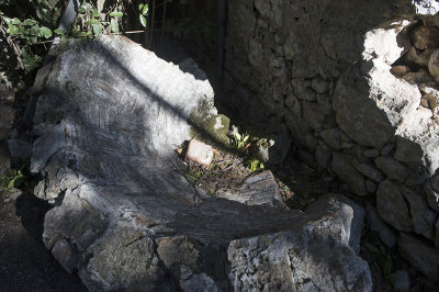 Olympos December 2013 4060.jpg