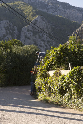 Olympos December 2013 4080.jpg