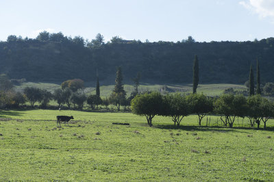 Perge December 2013 3041.jpg