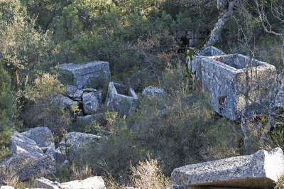 Termessos December 2013 3425.jpg