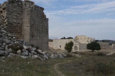Patara December 2013 4606.jpg