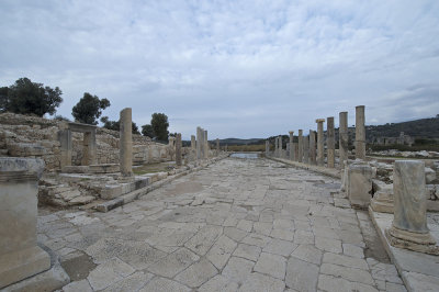 Patara December 2013 4675.jpg