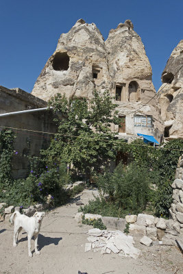 Cappadocia Urgup september 2014 0806.jpg