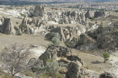 Cappadocia fox country Urgup september 2014 1772.jpg