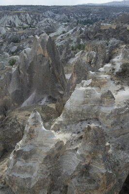 Cappadocia fox country Urgup september 2014 1776.jpg