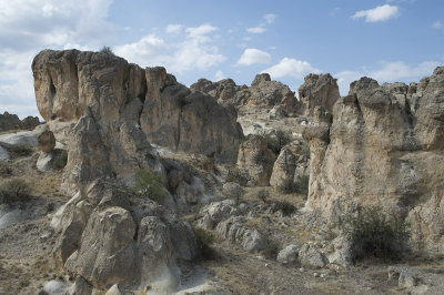 Cappadocia fox country Urgup september 2014 1777.jpg
