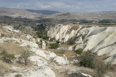 Cappadocia fox country Urgup september 2014 1784.jpg