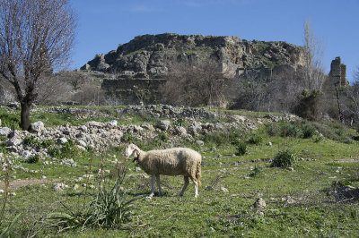 Sillyon feb 2015 5330.jpg