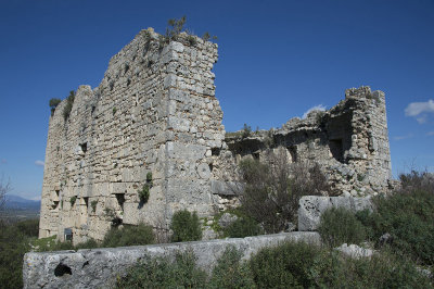 Sillyon feb 2015 5429.jpg