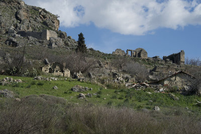 Sillyon feb 2015 5476.jpg