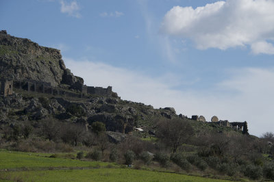 Sillyon feb 2015 5485.jpg