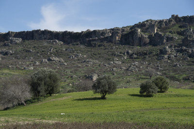 Sillyon feb 2015 5479.jpg
